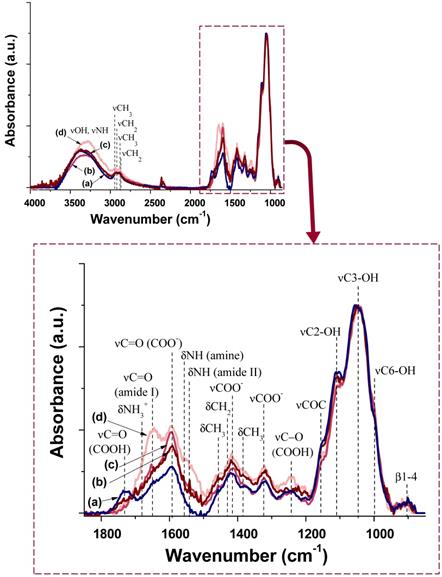 Nanotheranostics Image