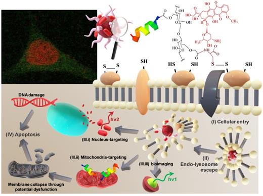 Nanotheranostics Image