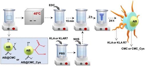 Nanotheranostics Image