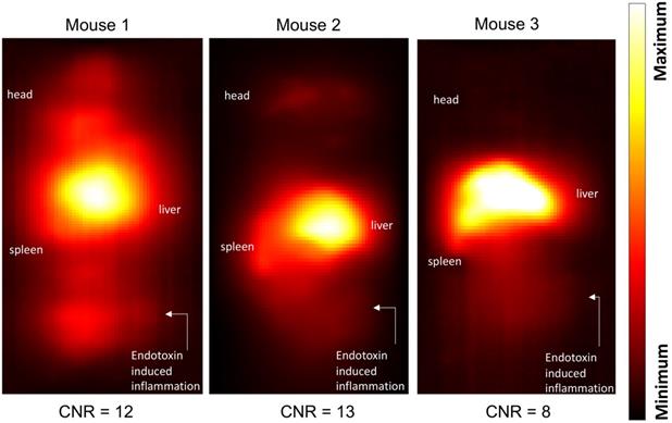 Nanotheranostics Image