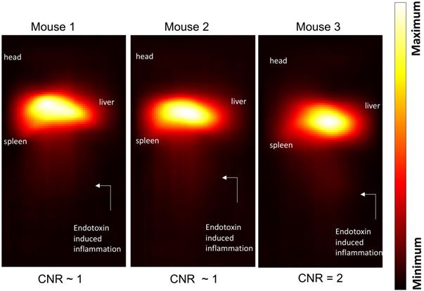 Nanotheranostics Image