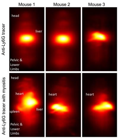 Nanotheranostics Image