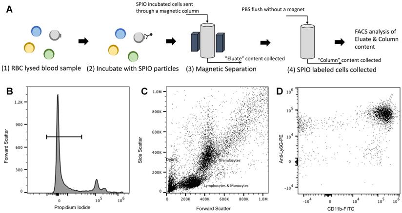 Nanotheranostics Image