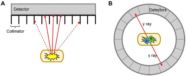 Nanotheranostics Image