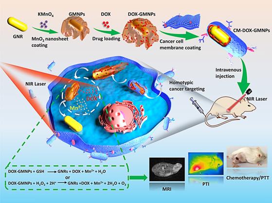 Nanotheranostics Image