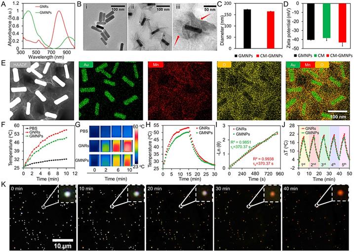 Nanotheranostics Image