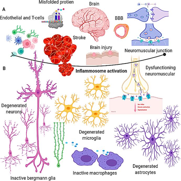 Nanotheranostics Image