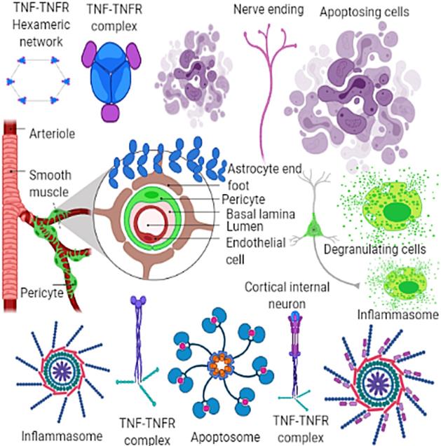 Nanotheranostics Image