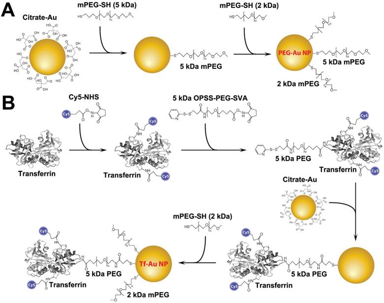 Nanotheranostics Image