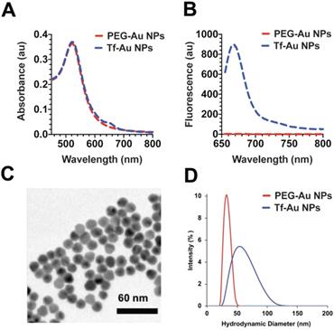 Nanotheranostics Image