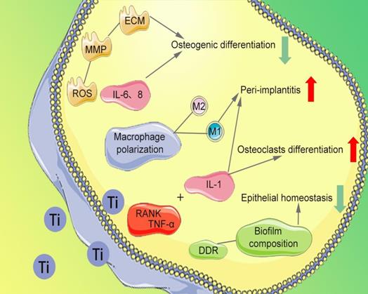 Nanotheranostics Image