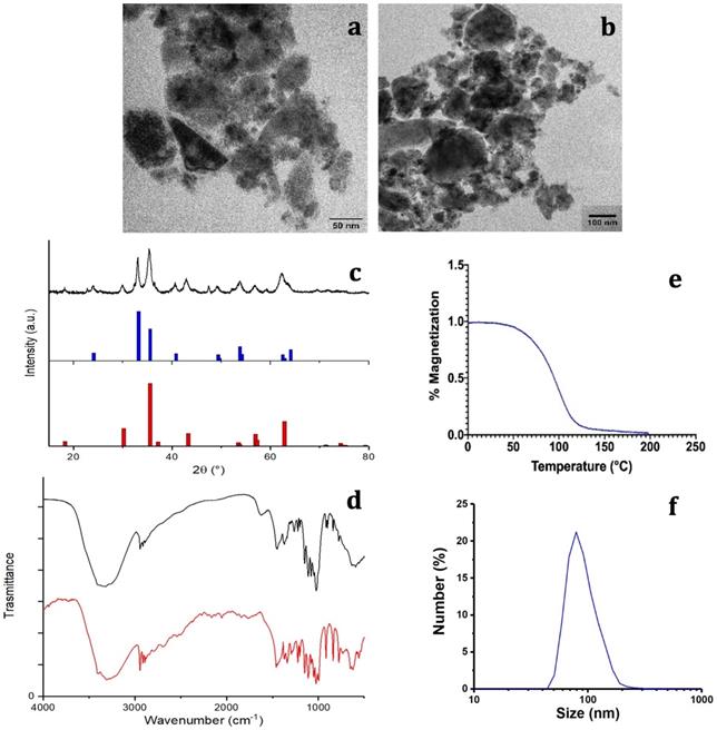 Nanotheranostics Image