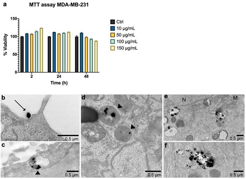 Nanotheranostics Image