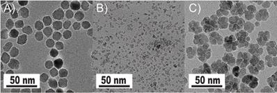 Nanotheranostics Image