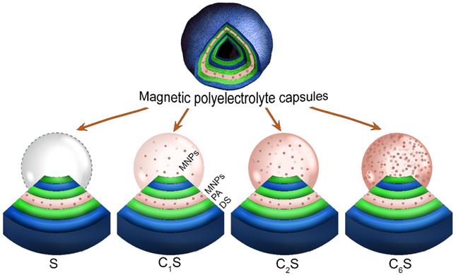 Nanotheranostics Image