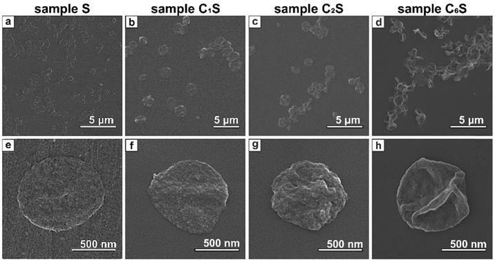 Nanotheranostics Image
