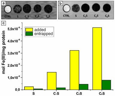 Nanotheranostics Image