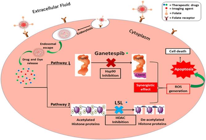 Nanotheranostics Image