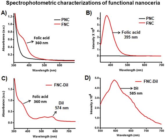 Nanotheranostics Image