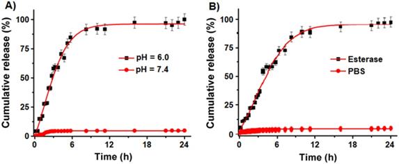 Nanotheranostics Image