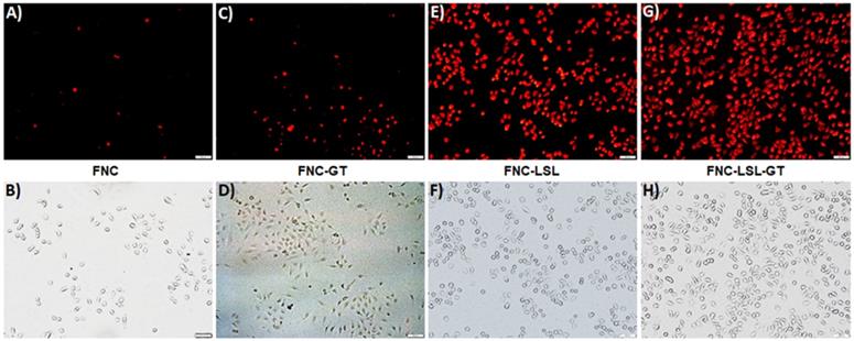 Nanotheranostics Image