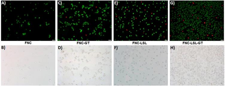 Nanotheranostics Image