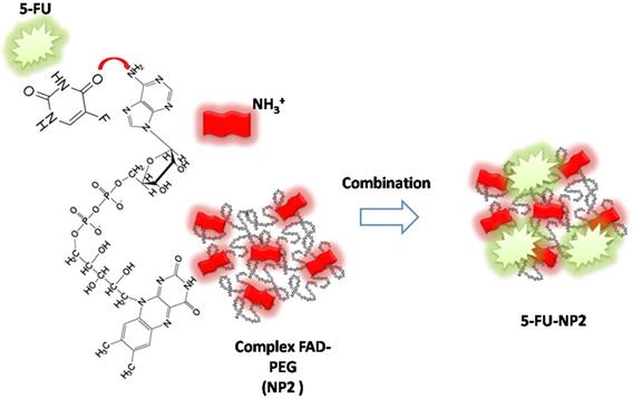 Nanotheranostics Image