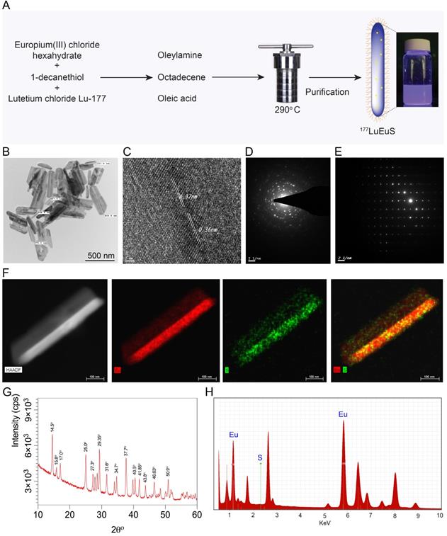 Nanotheranostics Image