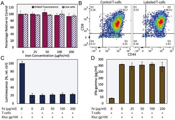 Nanotheranostics Image