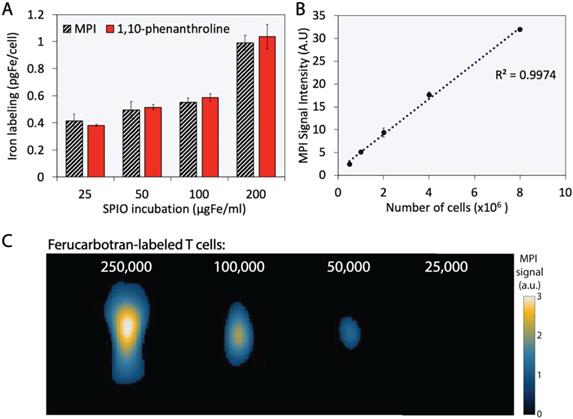 Nanotheranostics Image