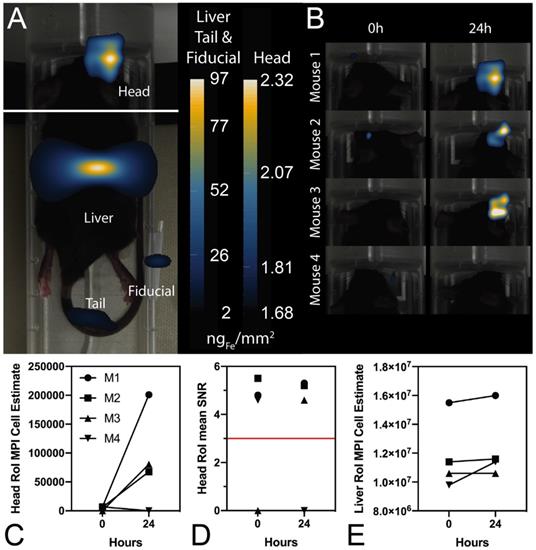 Nanotheranostics Image