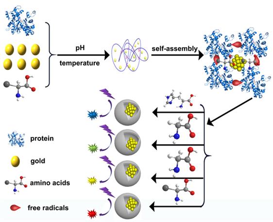 Nanotheranostics Image