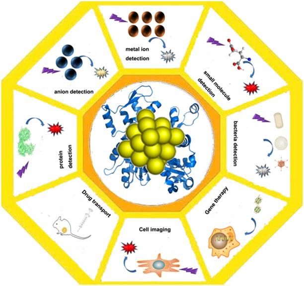 Nanotheranostics Image