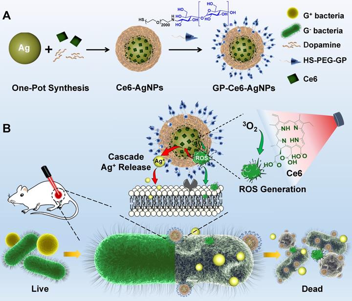 Nanotheranostics Image