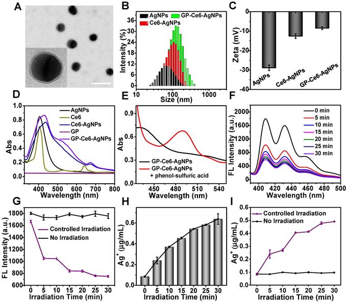 Nanotheranostics Image