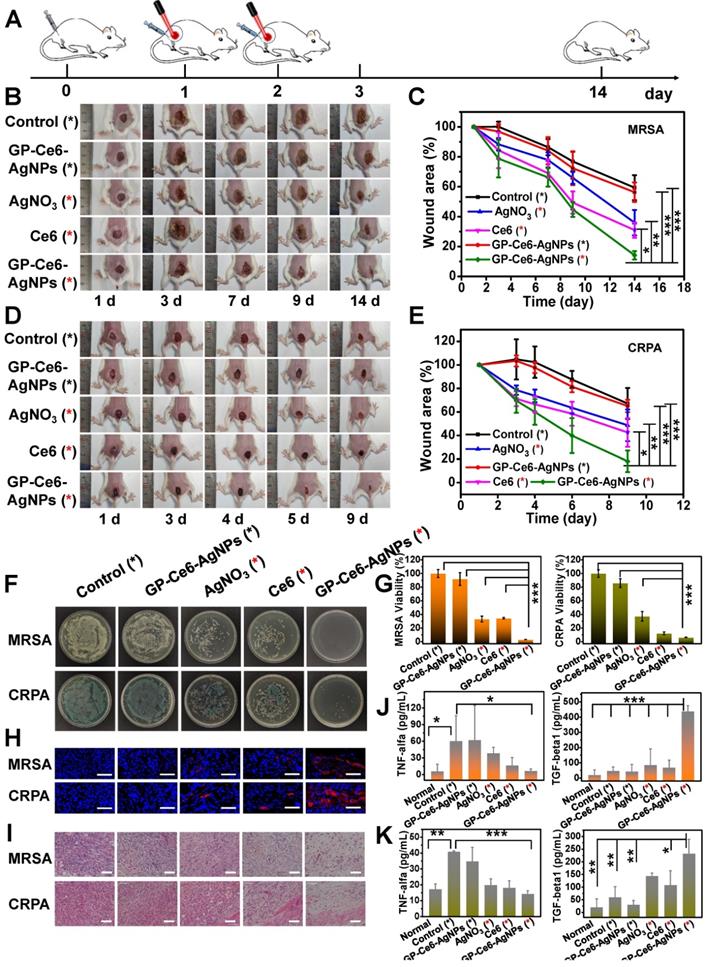 Nanotheranostics Image