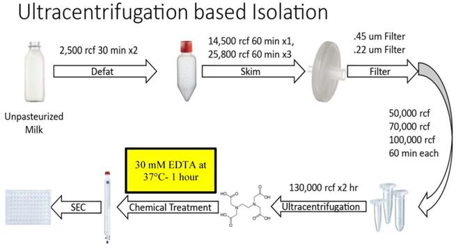 Nanotheranostics Image