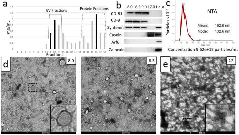 Nanotheranostics Image