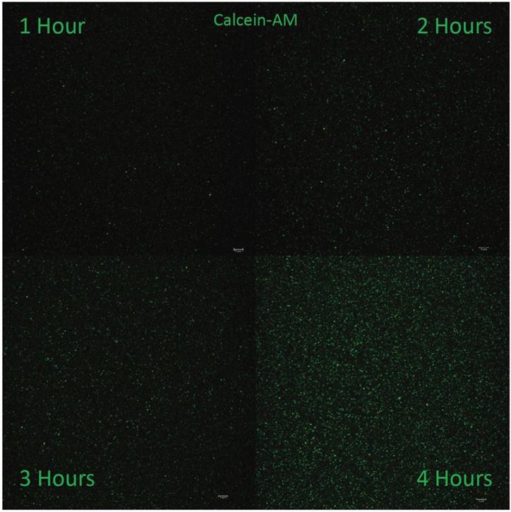 Nanotheranostics Image