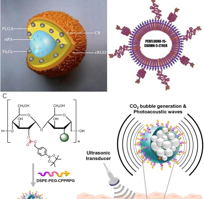 Nanotheranostics Image