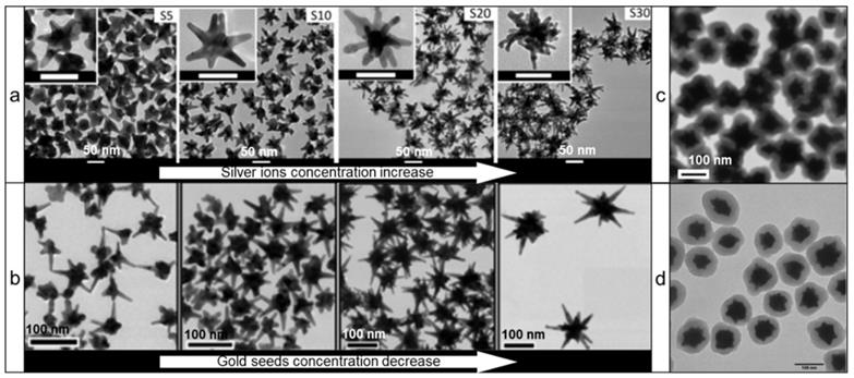 Nanotheranostics Image