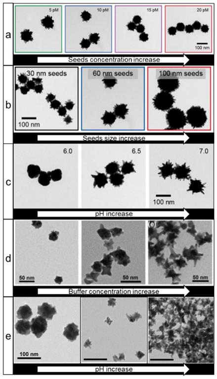 Nanotheranostics Image