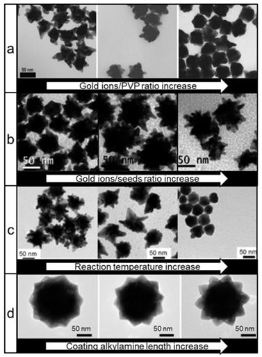 Nanotheranostics Image