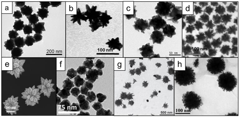 Nanotheranostics Image