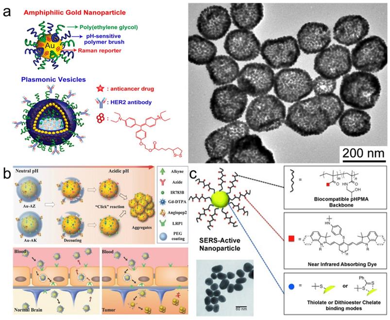 Nanotheranostics Image