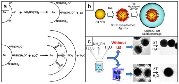 Nanotheranostics Image