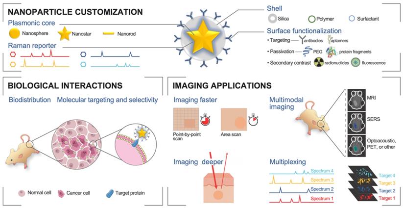 Nanotheranostics Image