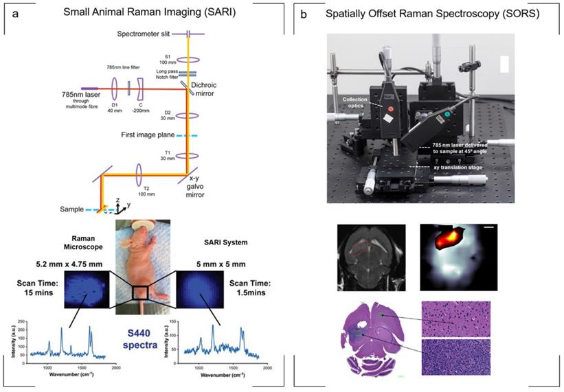 Nanotheranostics Image