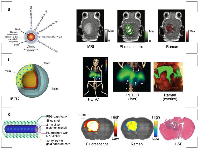 Nanotheranostics Image