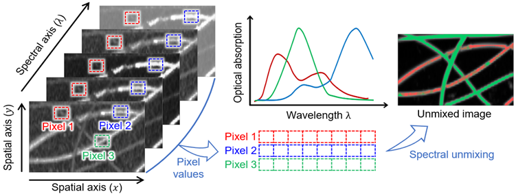 Nanotheranostics Image